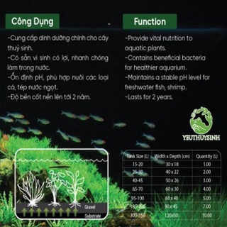 Cốt nền Vũ AQUA