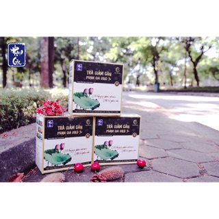 2 TRÀ GIẢM CÂN ĐÔNG Y PHẠM GIA COMBO 2 hộp (hạn 3/25)