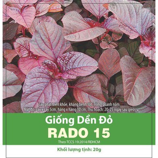 Hạt Giống Rau Dền Đỏ - Dền Đỏ Cao Sản, Dễ Trồng, Kháng Bệnh Tốt - Gói 20gr