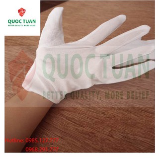 Combo 10 đôi Găng tay vải thun 2, 3 mảnh