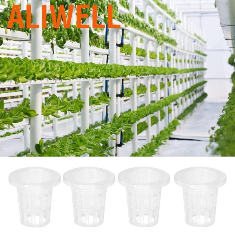 10 chậu nhựa trồng cây thủy canh tiện dụng bền bỉ