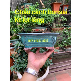 Chậu chữ nhật chân quỳ hàng bonsai mini size L- Chậu trồng cây bonsai - chậu trồng sen đá - chậu cảnh bonsai