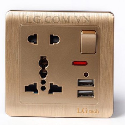 Ổ cắm điện âm tường 2 cổng usb có công tắc màu Gold C60-029 - Hàng Chính Hãng
