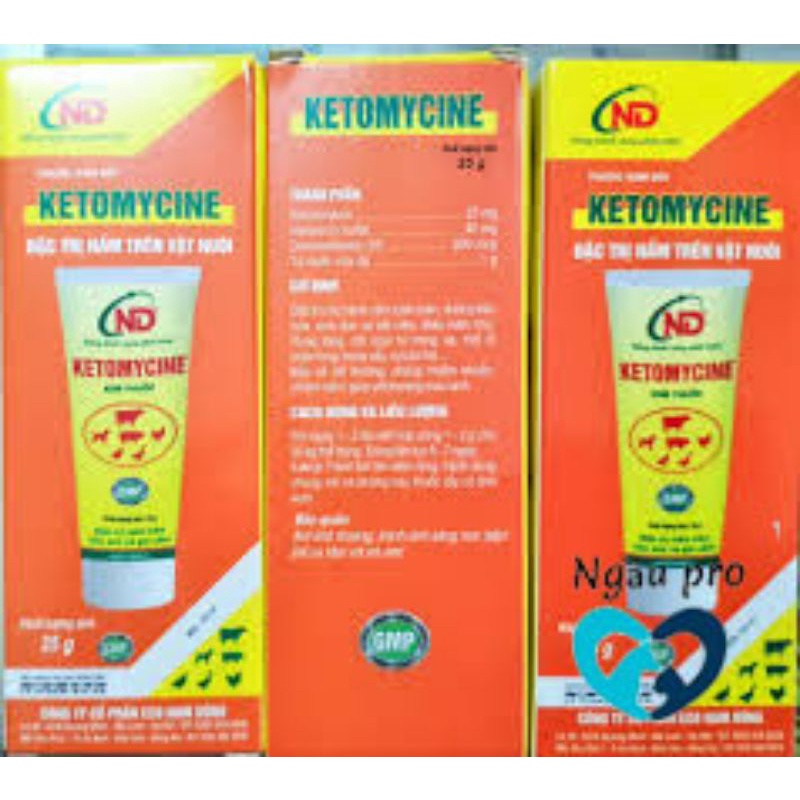 [Mã 253FMCGSALE giảm 8% đơn 500K] Thuốc bôi trị nấm, viêm da ghẻ chó mèo KETOMYCINE tuýp 25gr