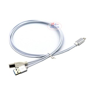Dây chuyển đổi từ Lightning ra USB Type A và Type B - Dây Iphone ra DAC