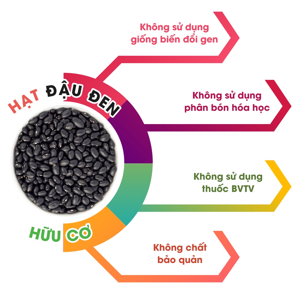 Hạt Đậu Đen (Đỗ Đen) Xanh Lòng Hữu Cơ, không biến đổi Gen, loại bở ngon, hạt chắc, tốt cho sức khỏe