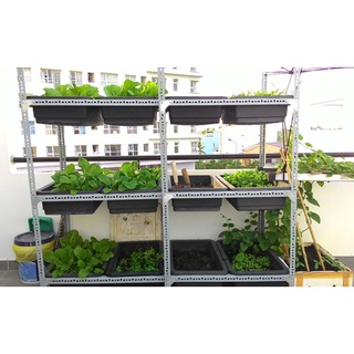 Khung kệ sắt trồng rau sạch 3 tầng dùng cho 12 khay trồng rau dùng cho khay 68x43cm ( chưa bao gồm khay )