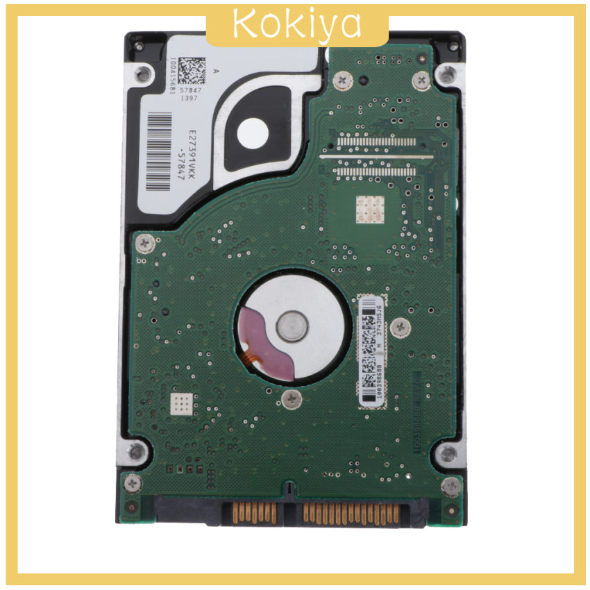 Ổ Cứng Ngoài Dung Lượng 2.5 Inch 320gb Sata 2 8m 5400rpm