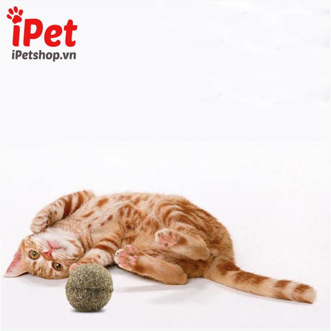Bóng đồ chơi phủ cỏ bạc hà mèo catnip - iPet Shop