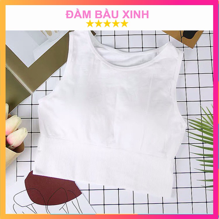 Áo Croptop Sát Nách Có Mút Đệm Ba Màu Chất Cotton Co Dãn