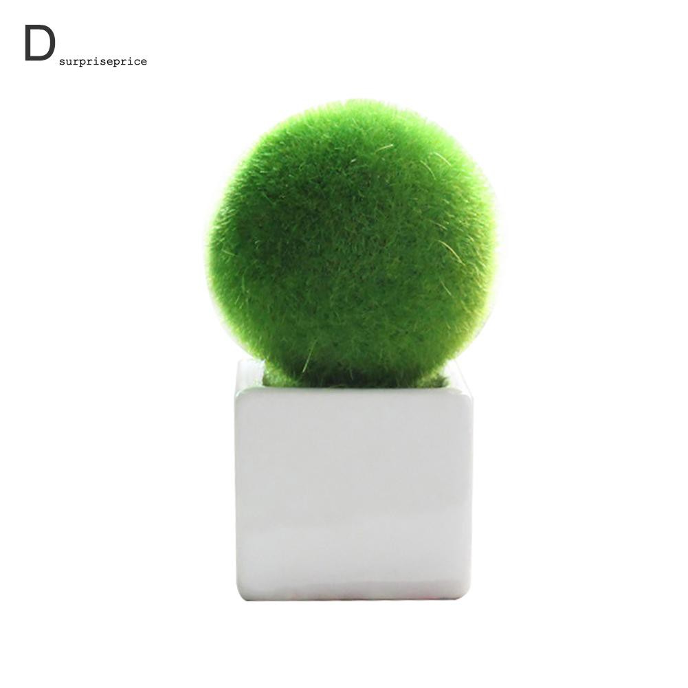 1 Chậu Cây Nhân Tạo Hình Ngôi Sao / Trái Tim Tròn Trang Trí Tiệc Cưới / Sân Vườn