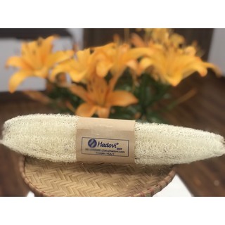 XƠ MƯỚP nguyên quả - món quà thiên nhiên an toàn, thân thiện- Tùy ý cắt nhỏ làm bông tắm - rửa bát cực thích