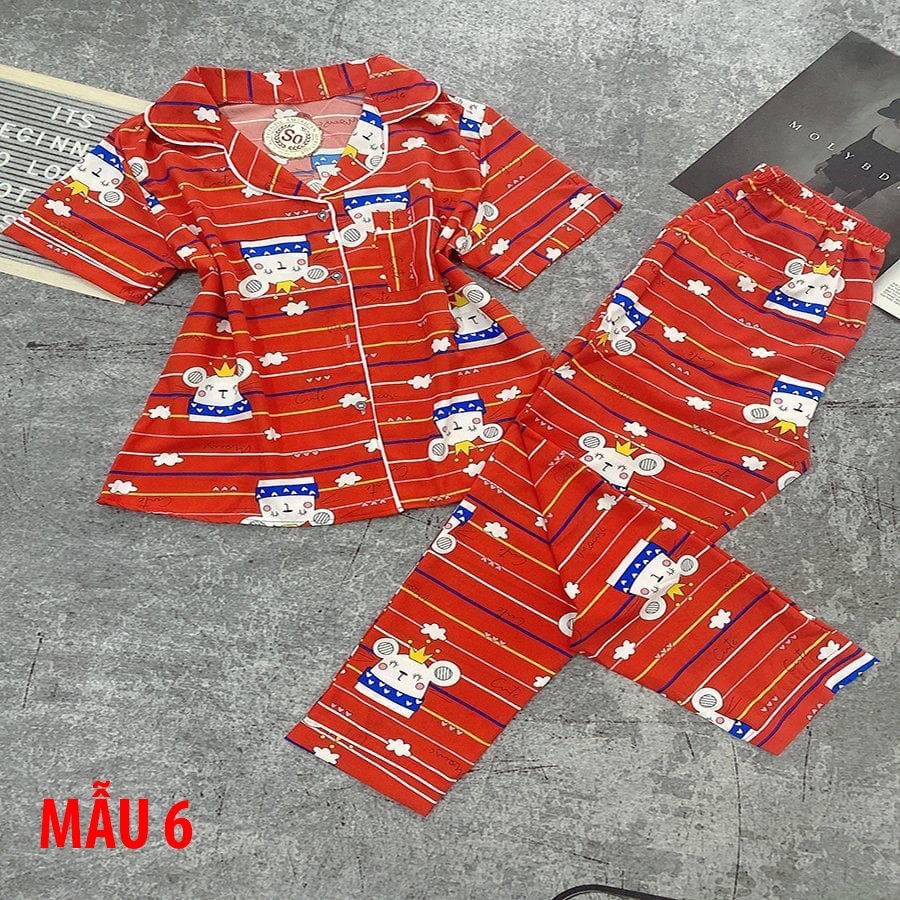 Bộ Quần Áo Ngủ Lụa Cao Cấp, Pyjama Nữ Mềm Mịn Siêu Mát [ FREESHIP + VIDEO ẢNH THẬT ] | BigBuy360 - bigbuy360.vn