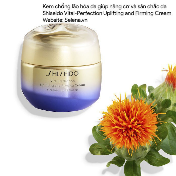 Kem chống lão hóa da Shiseido Vital-Perfection Uplifting and Firming Cream giúp nâng cơ và săn chắc da