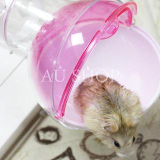 Lồng tắm cho chuột hamster dễ thương tiện dụng