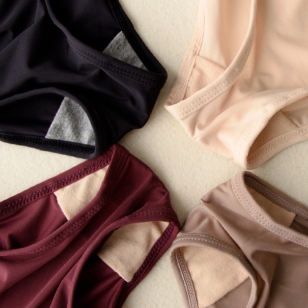 Quần Lót Lụa Siêu Mềm Mịn Free Size P149