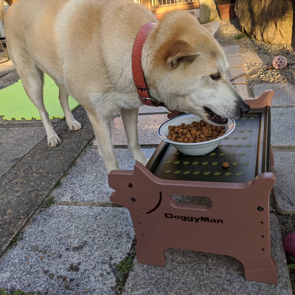 Bàn ăn khay nhựa tiện dụng DoggyMan cho chó cưng