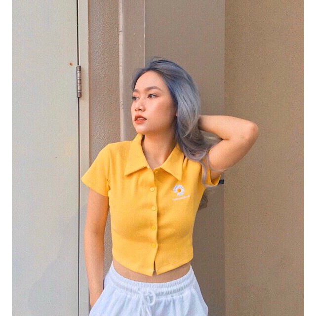 [Freeship đơn từ 0đ] [freeship-hình tự chụp- sẵn] Áo croptop thêu hoa cúc ngực_P89