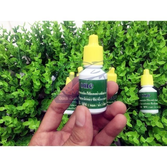 Nước dưỡng cá hàng thái lan supper one