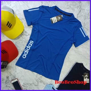 ÁO THỂ THAO NỮ CO GIÃN 4 CHIỀU, Áo Thun Nữ Chất Lạnh Đạp Xe Cầu Lông Yoga size M-2XL BeoBeo Shop ÁO THUN NỮ CỔ TRÒN