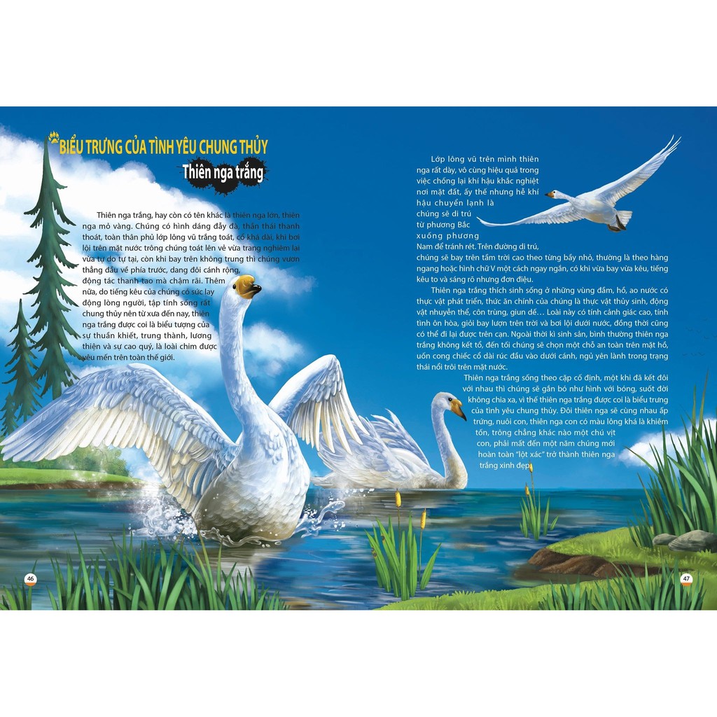 Sách - Khám Phá Thế Giới Động Vật Kì Thú: Thế Giới Của Các Thiên Thần Đáng Yêu