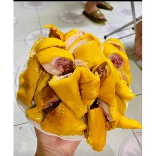 Gà ủ muối chính hiệu