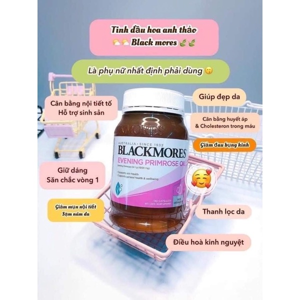 Combo Hoa anh thảo và mầm đậu nành Úc