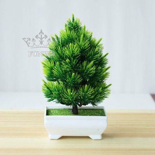 Chậu Cây Thông Xanh Giả Để Bàn, Để Trang Trí Kệ Treo Tường, Giá Sách.
