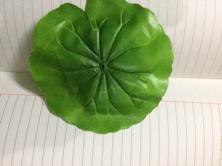 1 Lạng Lá nhựa