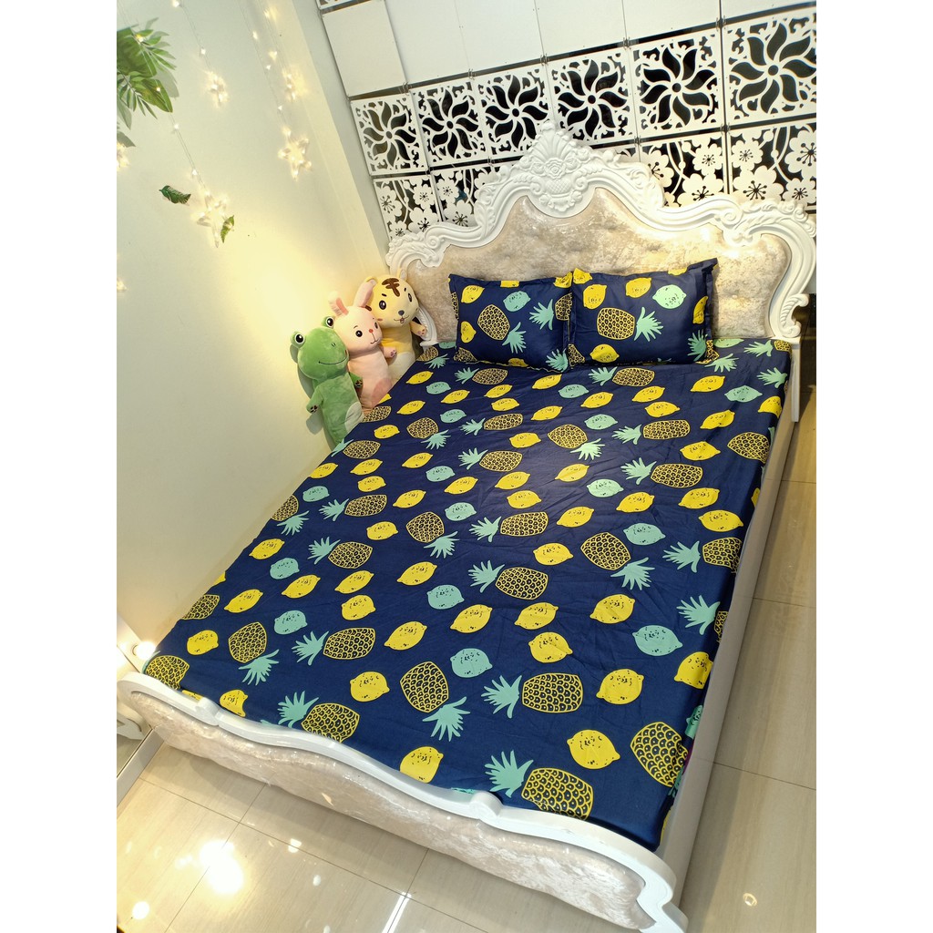 Bộ ga gối 💖m6/m8💖 drap giường poly, ga trải giường + 2 vỏ gối nằm đơn giản An Như Bedding | BigBuy360 - bigbuy360.vn