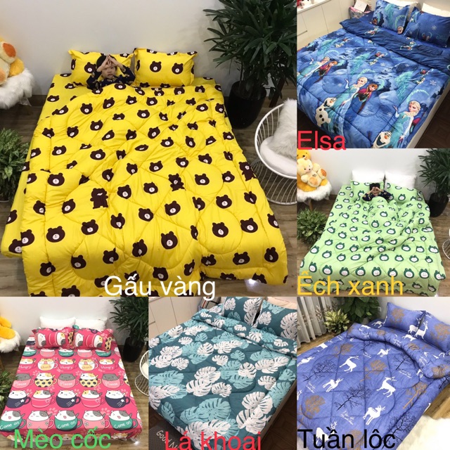 Trọn Bộ 5 Món Ga Gối Chăn Phao Poly Cotton Kichemo Có Ruột Bông Dày Loại 1 ( Nhắn Chọn Mẫu )