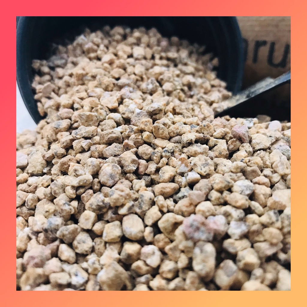 ĐÁ RẢI MẶT CHẬU MASATO (1KG) CHO SEN ĐÁ, XƯƠNG RỒNG