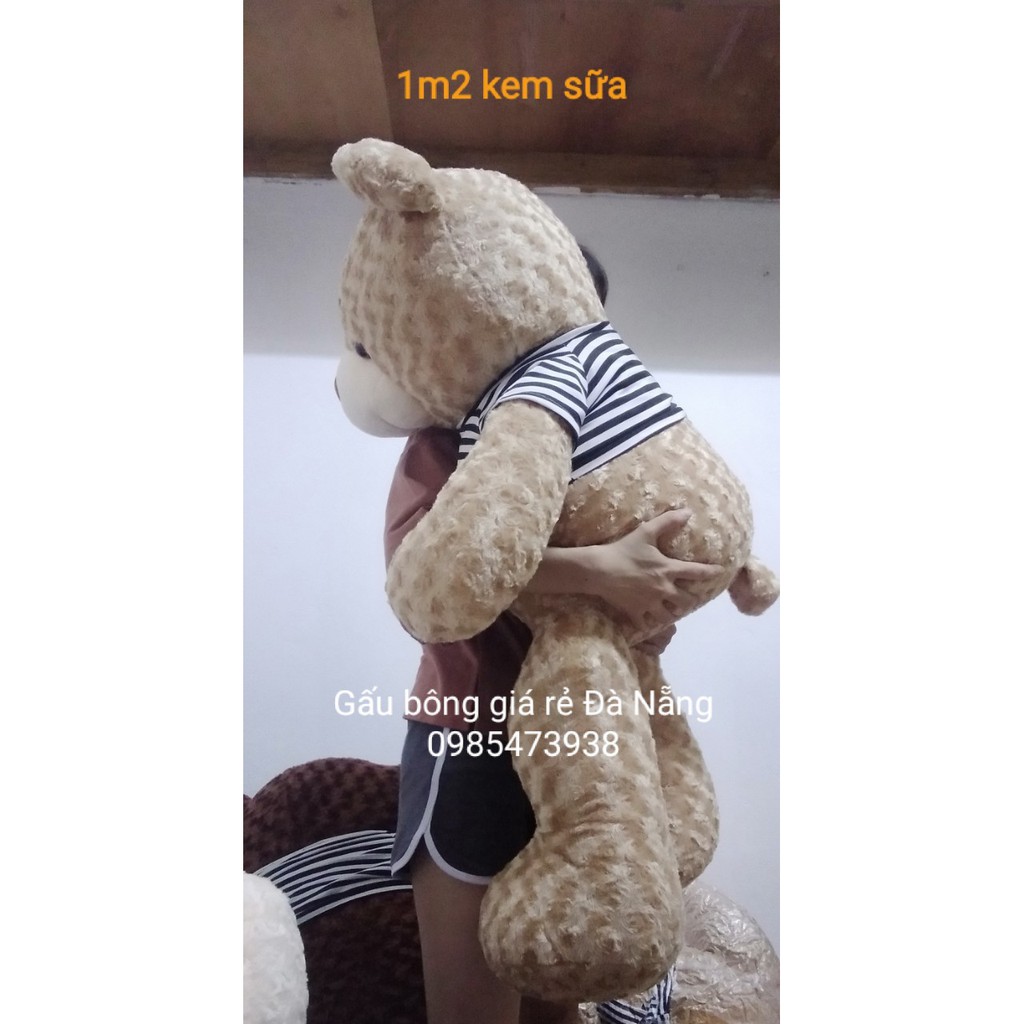 Gấu bông teddy lông xoắn cao cấp khổ vải 1m2 màu socola VNXK