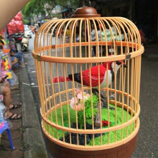 Lồng chim công tác ấn hót
