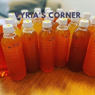 Trà kombucha lên men từ scoby nguyên bản không mix vị 500ml