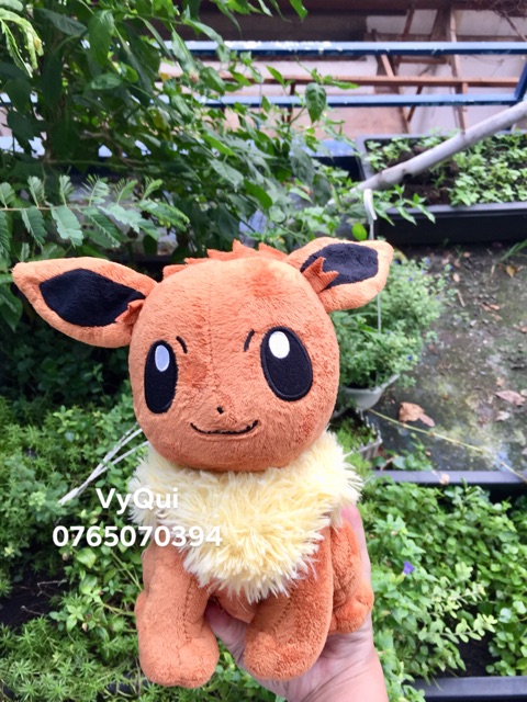Gấu bông poke sưu tầm size 25 đến 30cm