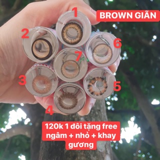 Kính áp tròng lens brown và choco giãn tròng