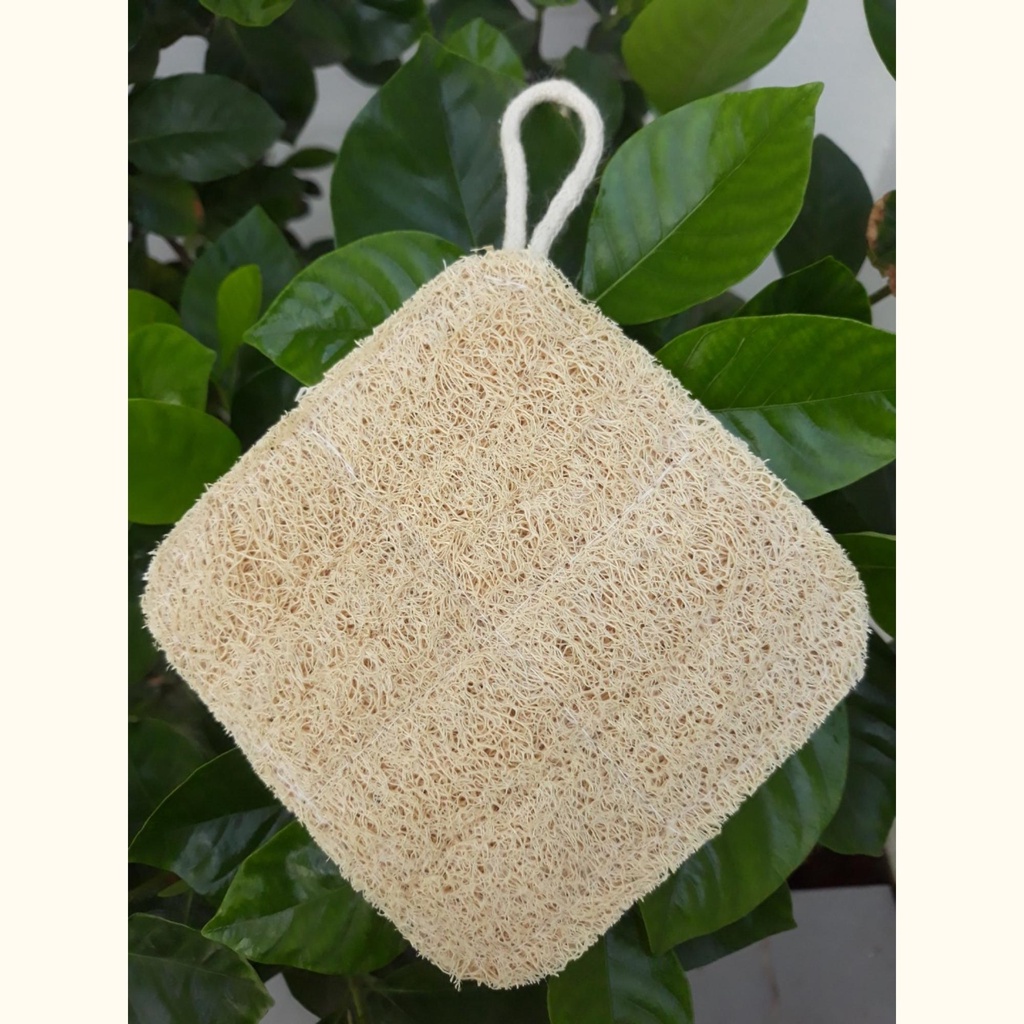 Miếng Rửa Chén Xơ Mướp Cỡ Lớn Hình Vuông - Miếng Chùi Nồi - Miếng Rửa Bát - Xơ Mướp Tắm Tẩy Da chết