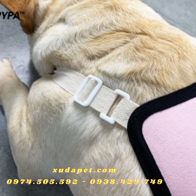 YẾM QUẦN SINH LÝ PIKACHU CHO CHÓ MÈO TRONG KỲ KINH NGUYỆT  - SP005288