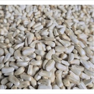 100g Hạt Kham cho hamster