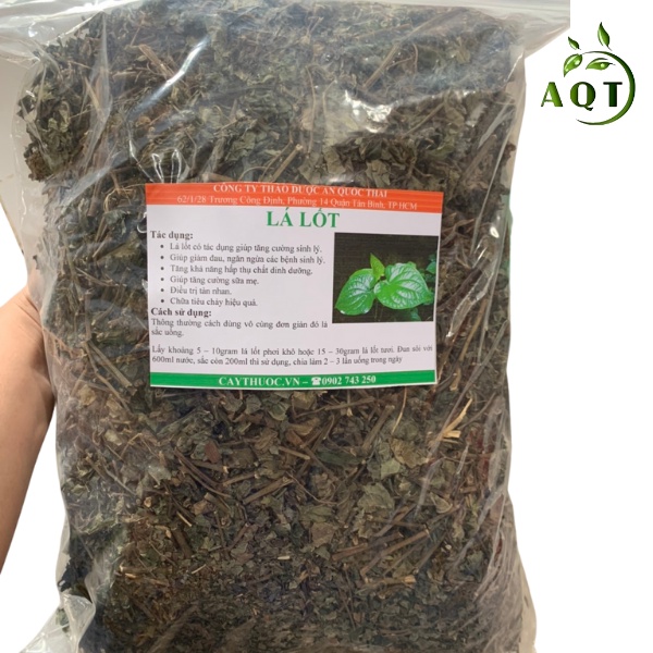 Lá Lốt 1kg  Khô Sạch, Cây Lá Lốt Hỗ Trợ Bệnh Gout, Giảm Đau Nhức Xương Khớp