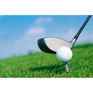 Tee golf chân cắm phụ - PGM QT002