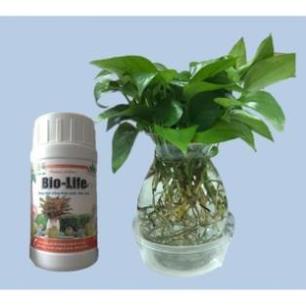 Dung dịch dinh dưỡng thủy canh BioLife - chai 1000ml