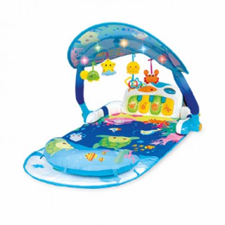 Thảm đàn piano đại dương đa năng Winfun 0860