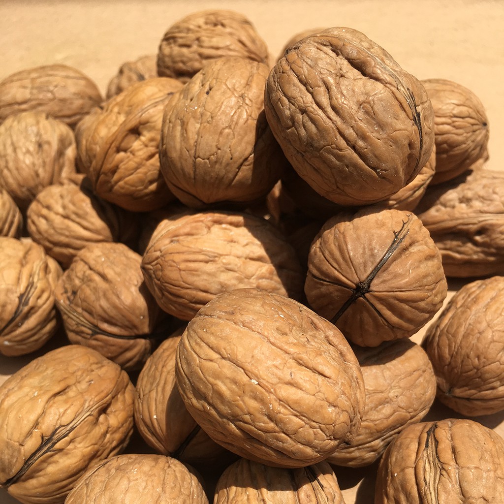 Hạt óc chó nguyên vỏ 1Kg  Không sợ hôi dầu  - Hạt dinh dưỡng BeeNut
