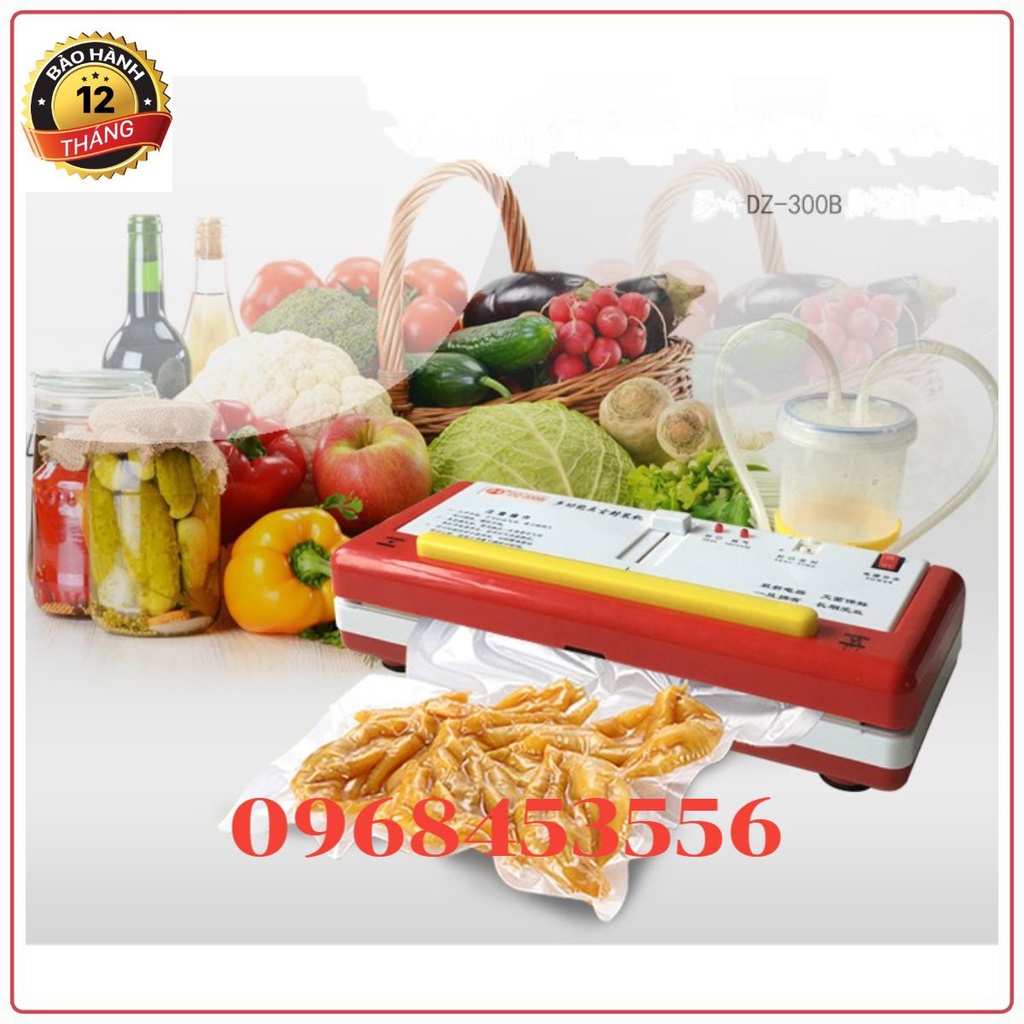 ( GIÁ SỈ) Máy hút chân không DZ300b