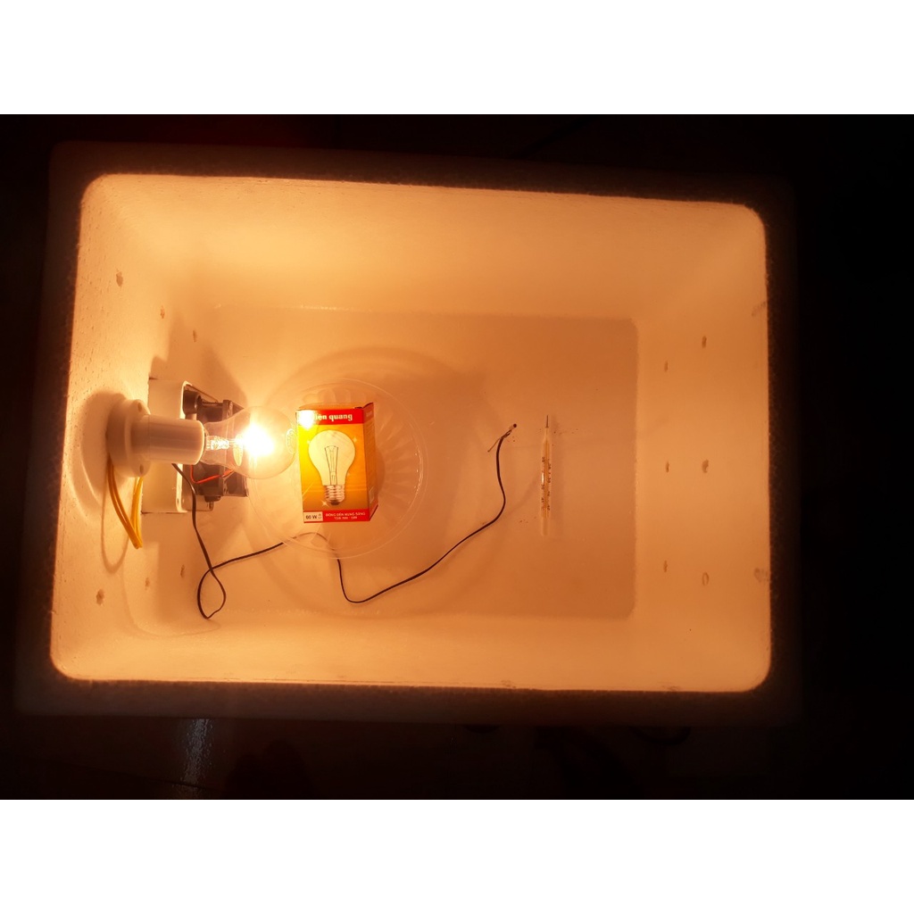 Máy ấp trứng gà, vịt cho hộ gia đình