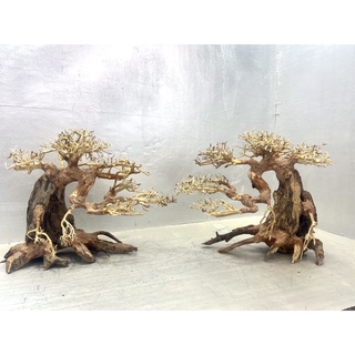 Lũa Bonsai  Cho Hồ Thủy Sinh Cao 25 Dài 35 cm