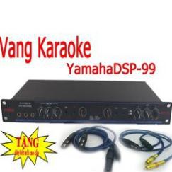 vang số karaoke dbx dsp-99-mixer echo karaoke dsp99