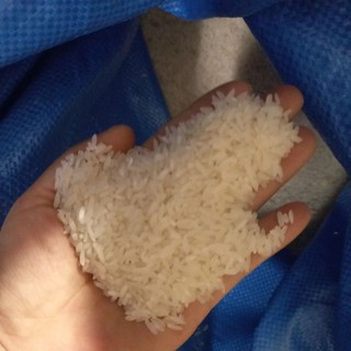10kg gạo tám điện biên